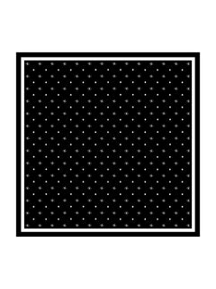 [P105] SilkSilky-SA Pure Silk Scarf 001