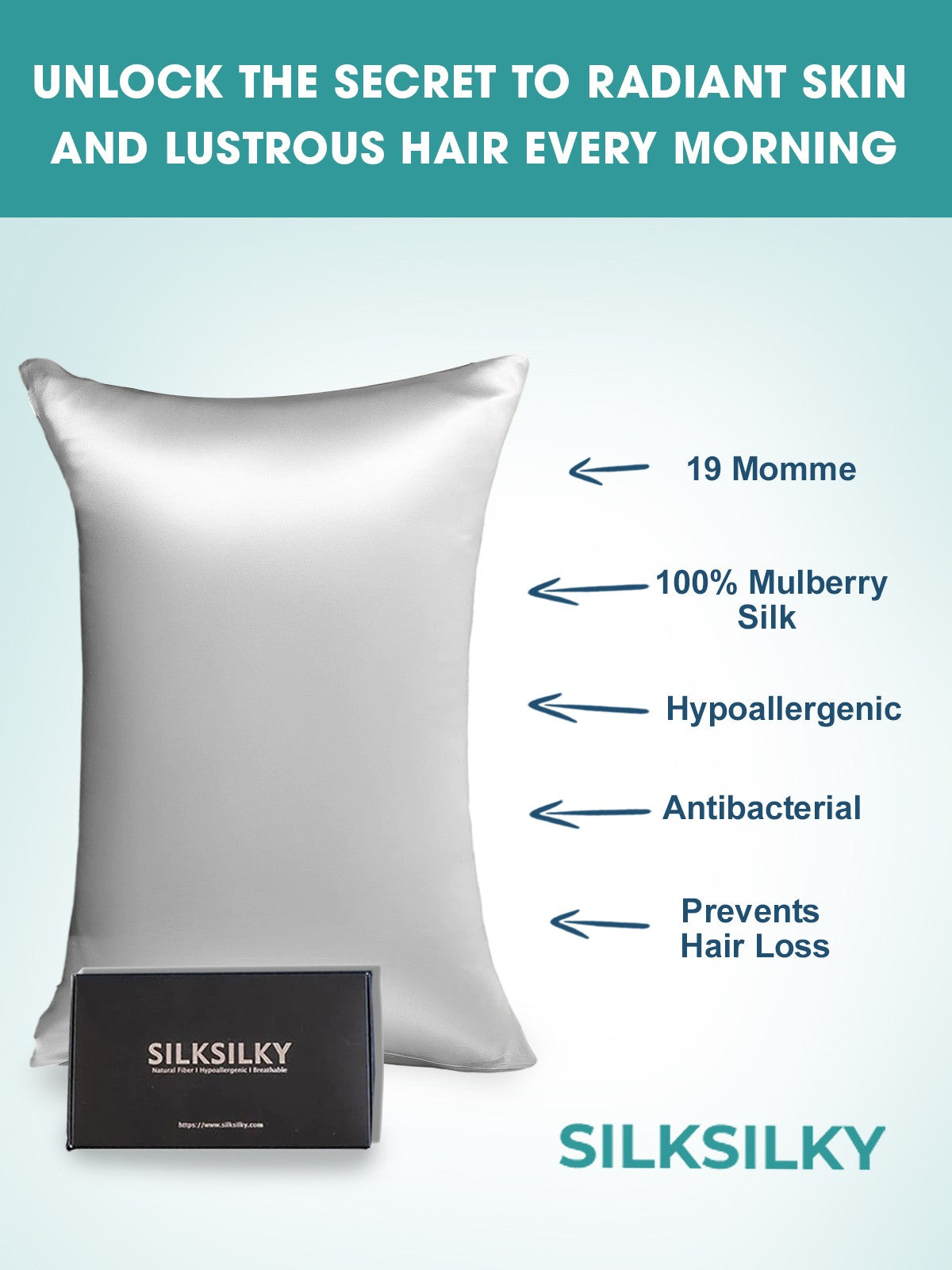 SilkSilky-SA 19Momme الحرير الخالص Pillowcase فضة 003