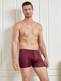 SilkSilky SA محبوك الحرير Mens Underwear خمر 003