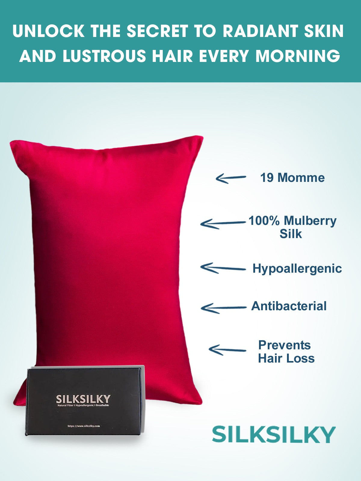 SilkSilky-SA 19Momme الحرير الخالص Pillowcase خمر 002