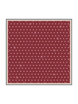 [خمر] SilkSilky-SA Scarf 001