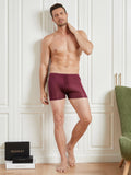 SilkSilky-SA-محبوك-الحرير-Mens-Underwear-خمر-003